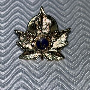 Lions member collector pin